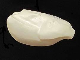 Waldschnepfe gro� Nr.:26VO  12,5-5cm  - Bild vergr��ern 