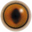 Fuchs Säugerauge-Acryl 190EE-14mm