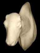 Bison Nr.: SH 491 G gerade 30-54-82