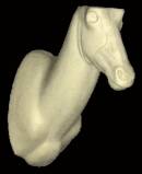 Blessbock Nr: AH51R rechts   23-38-49