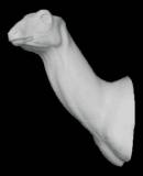 Buschbock Nr.: AH182R  rechts     13,5-27-38