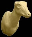 Duiker-Grau  Nr.:AH23G  gerade  11-21-24