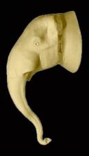 Elefantenkopf Nr: AH290 gerade