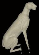 Gepard Nr.: AG2080R  sitzend  10-24-37-119 -69