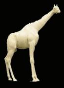 Giraffe Nr.: AG 2200 stehend rechts  34-76-68-429-264