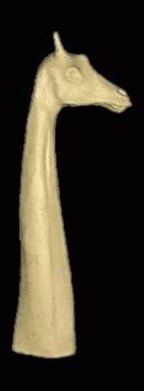 Giraffenkopf Nr.: AH 240 gerade  40-75-56-200 