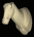 Gnu / Streifengnu / Blue Wildebeest Nr.: AH122L links	32-54-73