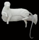 Leopard / Puma Nr.: AG 2053 liegend auf Baum7,5-24-120-70-50,5