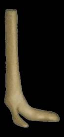 Strau&szlig;enfu&szlig; Nr.:AH101L