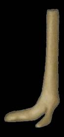 Strau&szlig;enfu&szlig; Nr.:AH101R