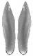 Springbock - Ohren 19cm Nr.O37
