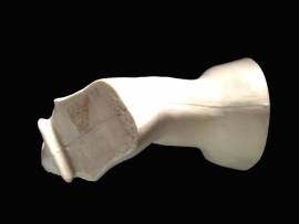 Mufflon /  Wandkopf Offset Nr:EH339R 13,5-27-38 - Bild vergrern 