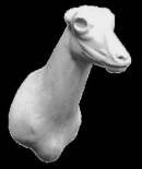 Gams Nr:EH343R rechts 12-20-30