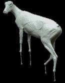 Gams Nr.: G 3030L stehend links 13-23-112-81