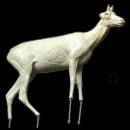 Gams Nr.: G 3030R stehend rechts 13-23-112-81